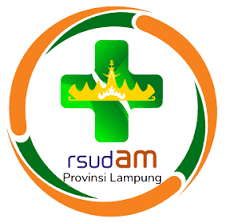 RSUD Dr. H. Abdul Moeloek
